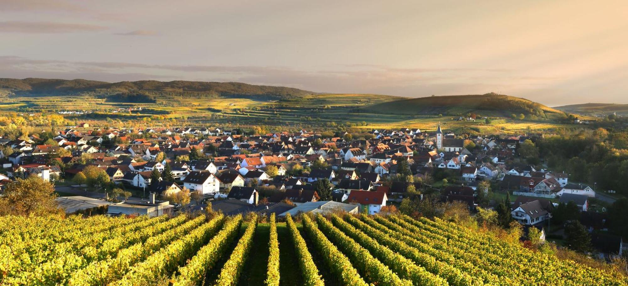Ferienhof Schloessle 凯萨斯图尔地区萨斯巴赫 外观 照片